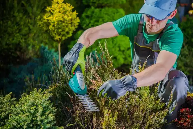 landscaping services Watertown Town